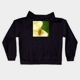 Cute Bug on Green & White Kids Hoodie